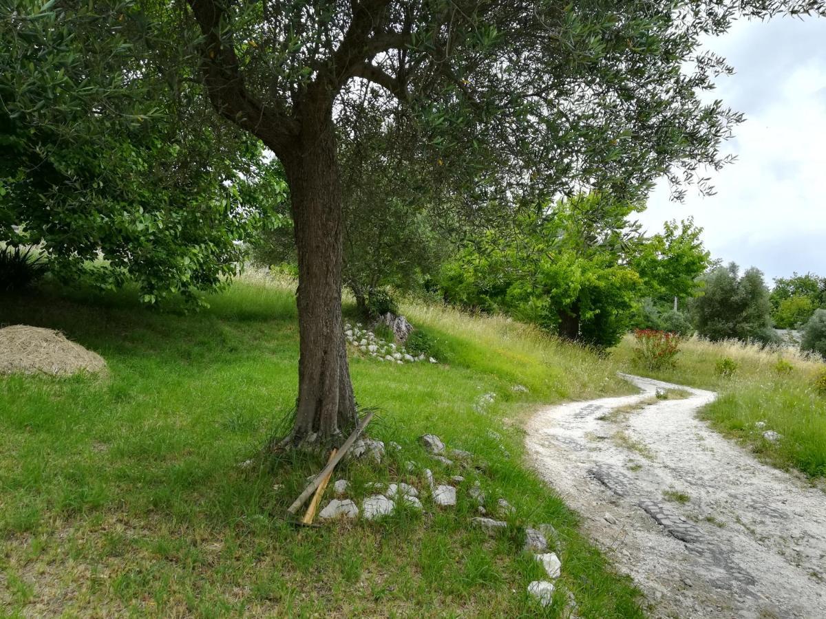 Agriturismo Campo Aperto Belvedere Ostrense Exterior photo