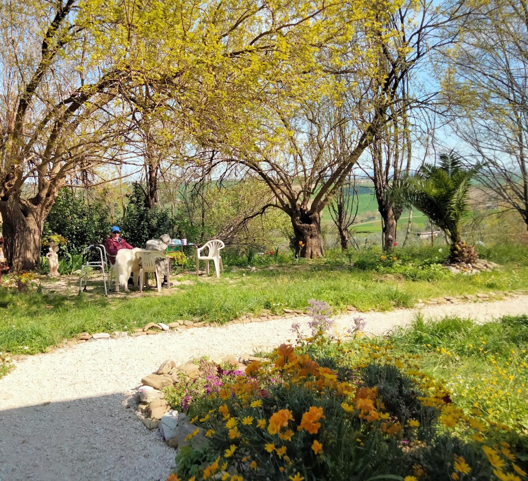 Agriturismo Campo Aperto Belvedere Ostrense Exterior photo