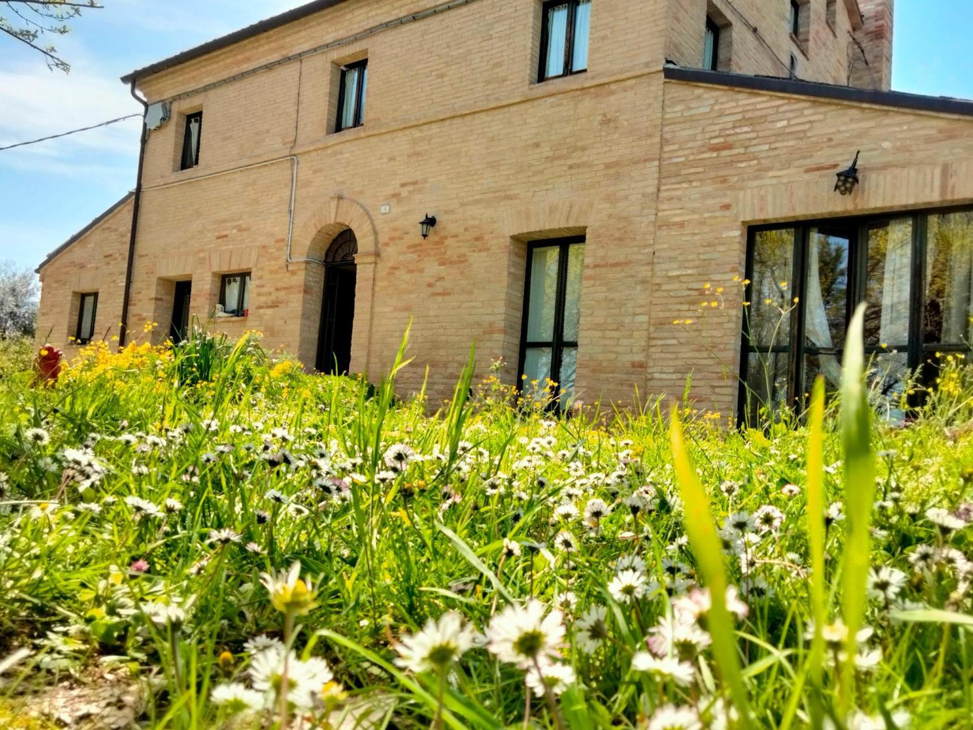 Agriturismo Campo Aperto Belvedere Ostrense Exterior photo